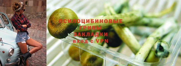 амф Балахна