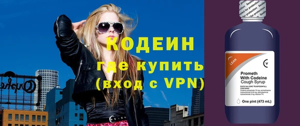 не бодяженный Заводоуковск
