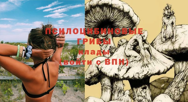 амф Балахна