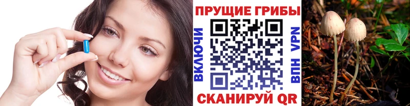 hydra ссылки  что такое наркотик  Северо-Курильск  Псилоцибиновые грибы Magic Shrooms 